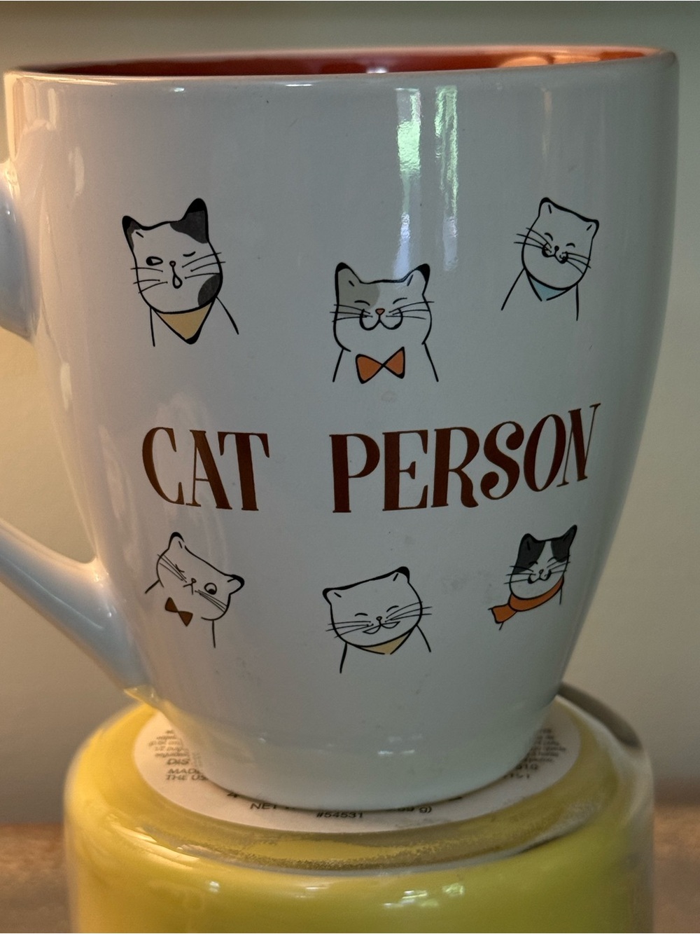 Cat Person White Ceramic Mug with Orange Accents